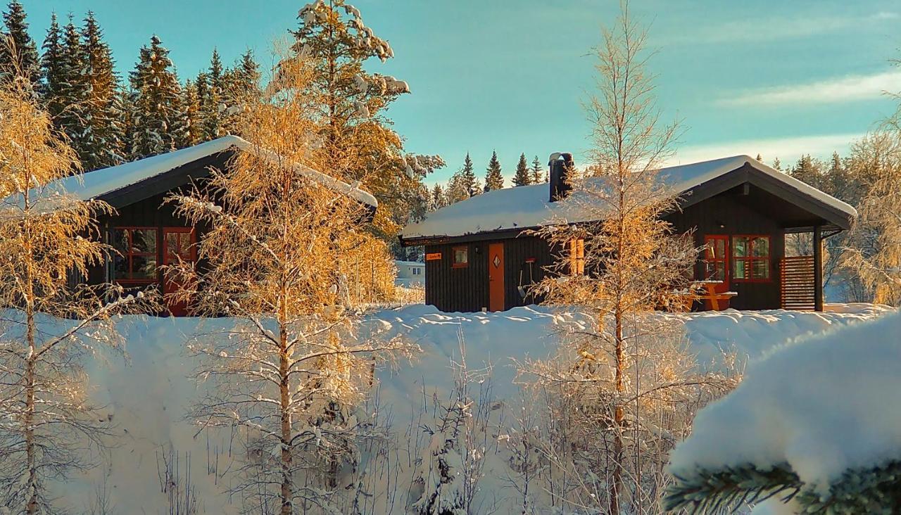 Trysil Hyttegrend ภายนอก รูปภาพ