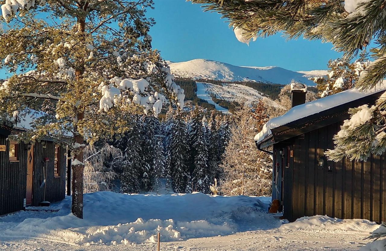 Trysil Hyttegrend ภายนอก รูปภาพ