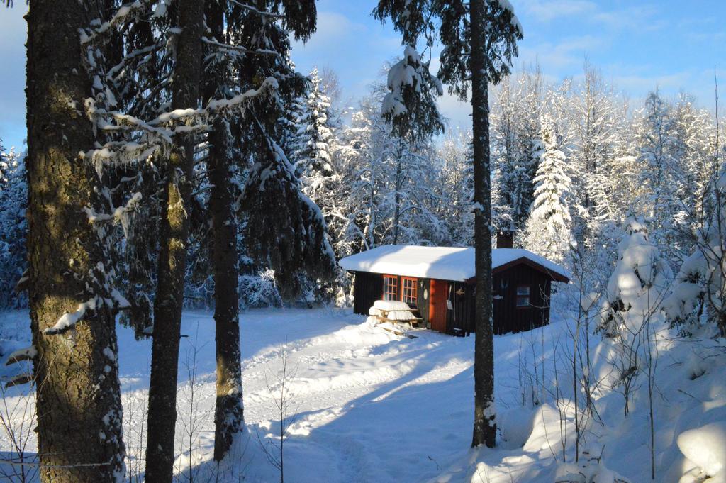 Trysil Hyttegrend ภายนอก รูปภาพ